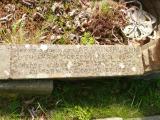 image of grave number 808561